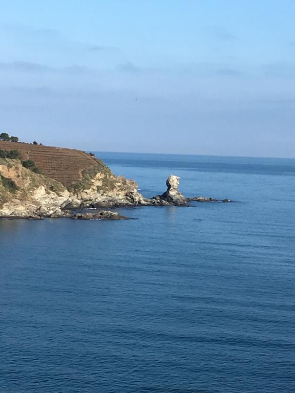 Hotel Ibis Styles Collioure Port Vendres Exterior foto